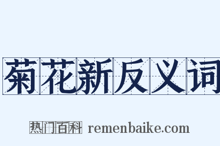 菊花新反义词是什么意思的图片